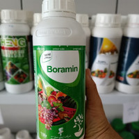 بورآمین Boramin