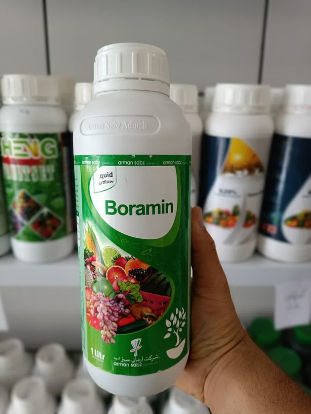 بورآمین Boramin